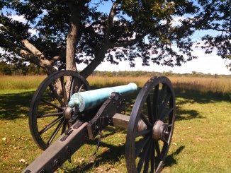 Cannon at Manassas